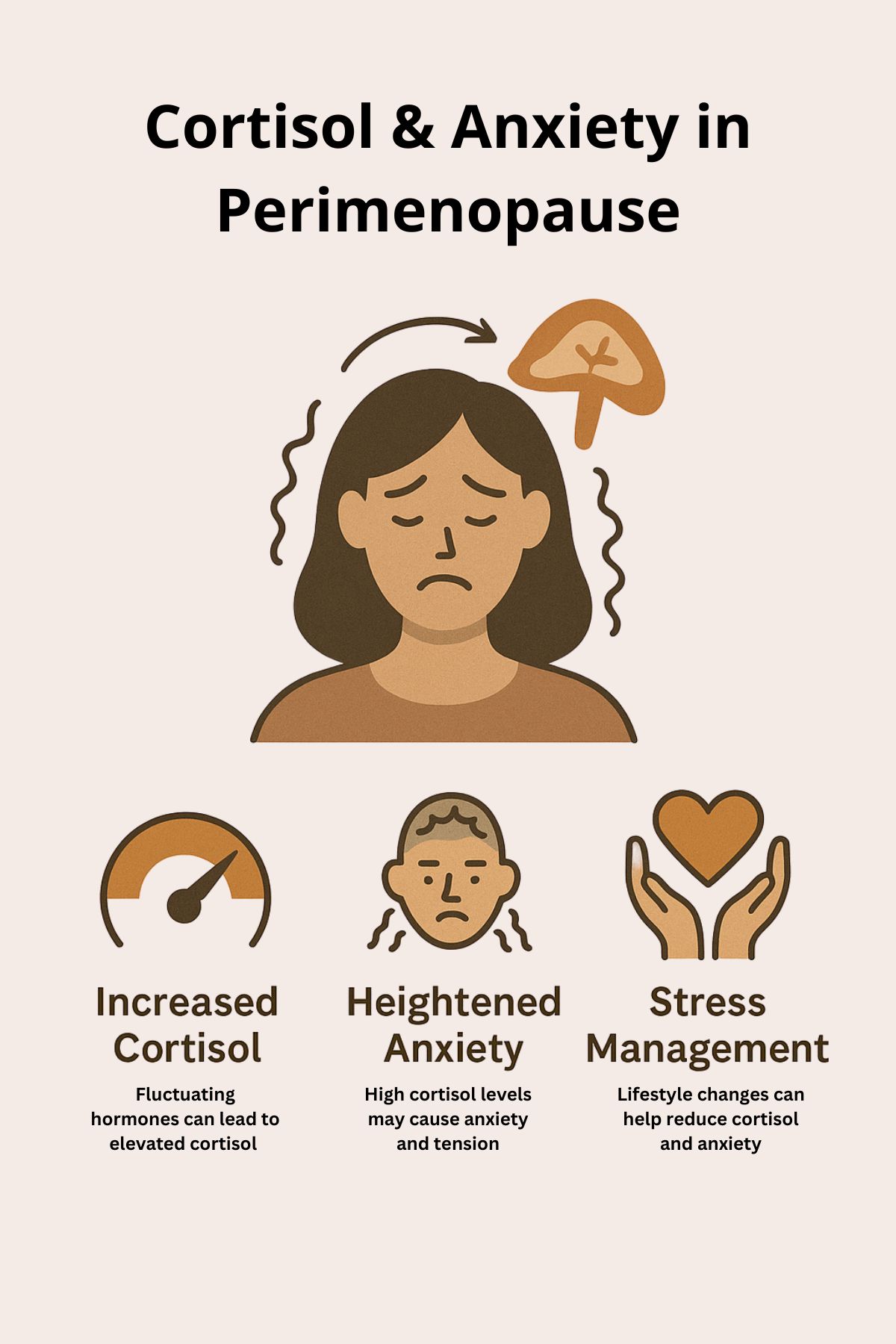 Perimenopause and cortisol-3.