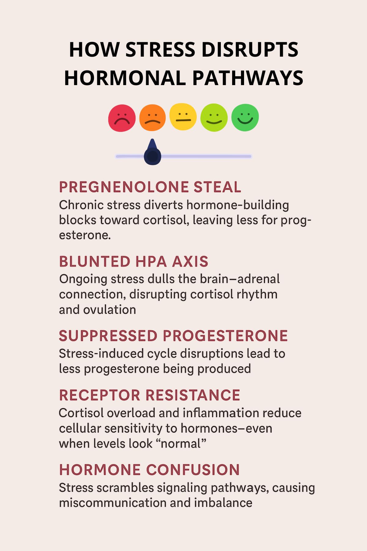 cortisol and progesterone-2.